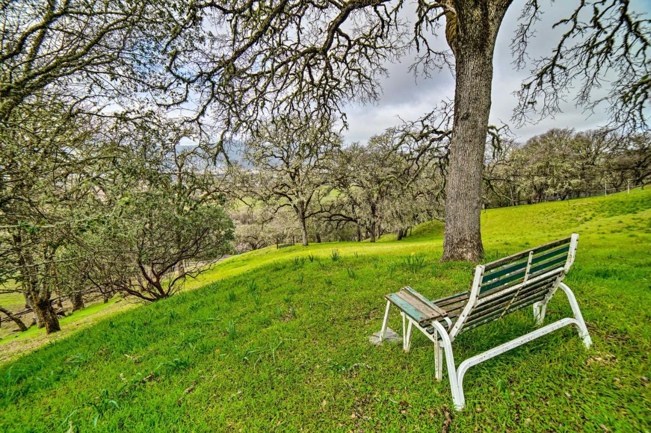 Hilltop Loft Ukiah Vacation Rental! Экстерьер фото